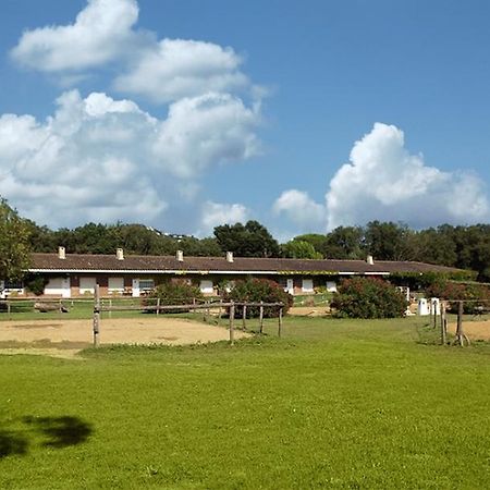 Hostel Residential Horse Club Costa Brava Santa Cristina d'Aro Zimmer foto