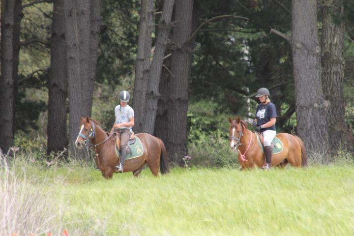 Hostel Residential Horse Club Costa Brava Santa Cristina d'Aro Exterior foto
