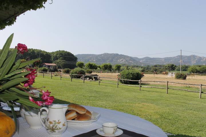 Hostel Residential Horse Club Costa Brava Santa Cristina d'Aro Zimmer foto